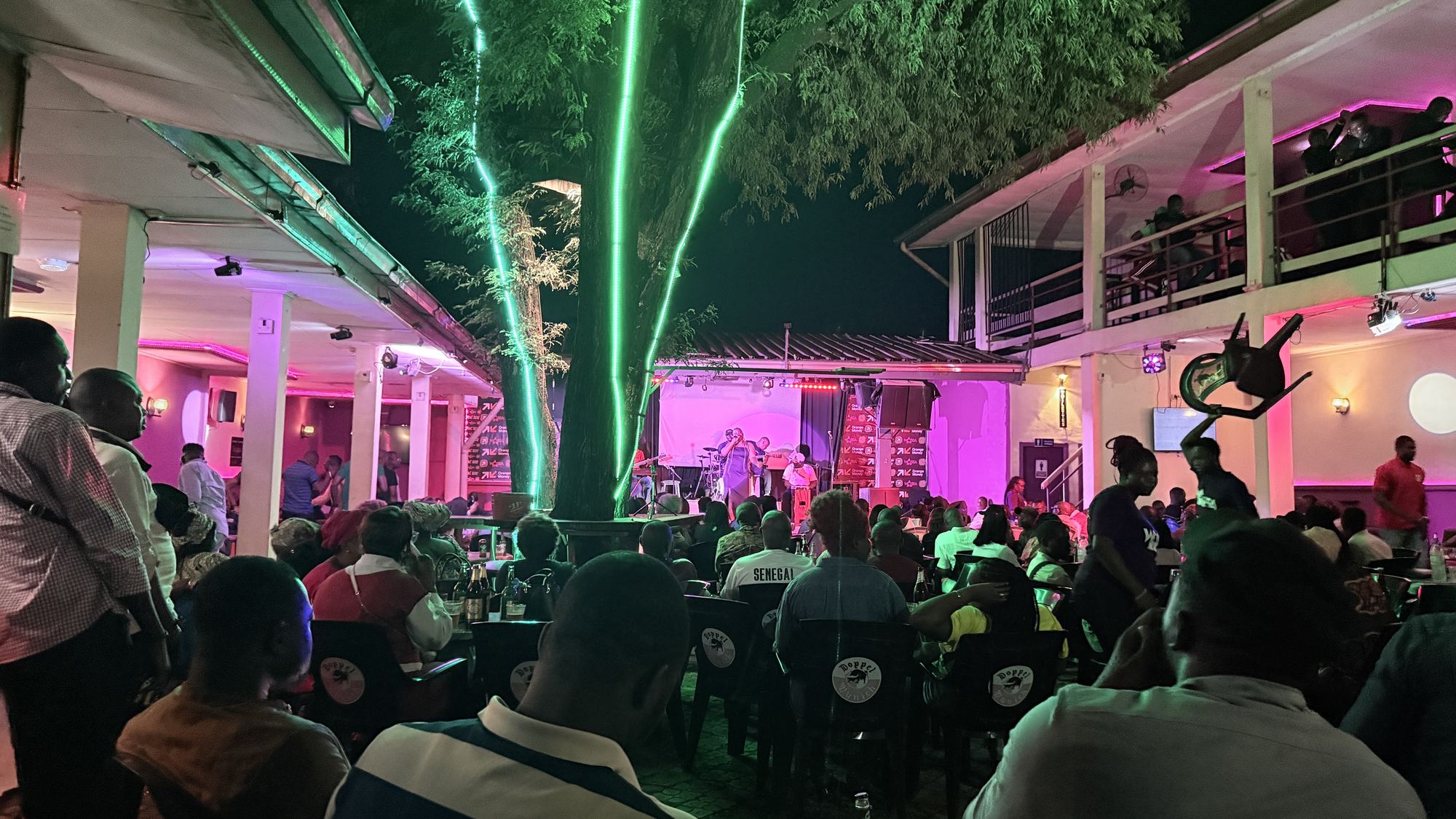 L'arbre illuminé en vert, la scène et le balcon un soir de concert
