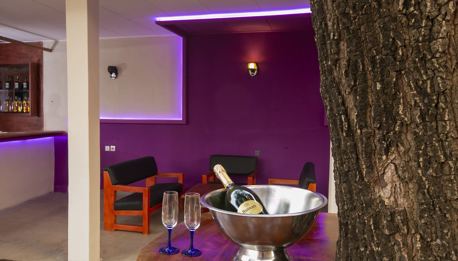 Champagne au pied du grand arbre, salon et bar en arrière-plan